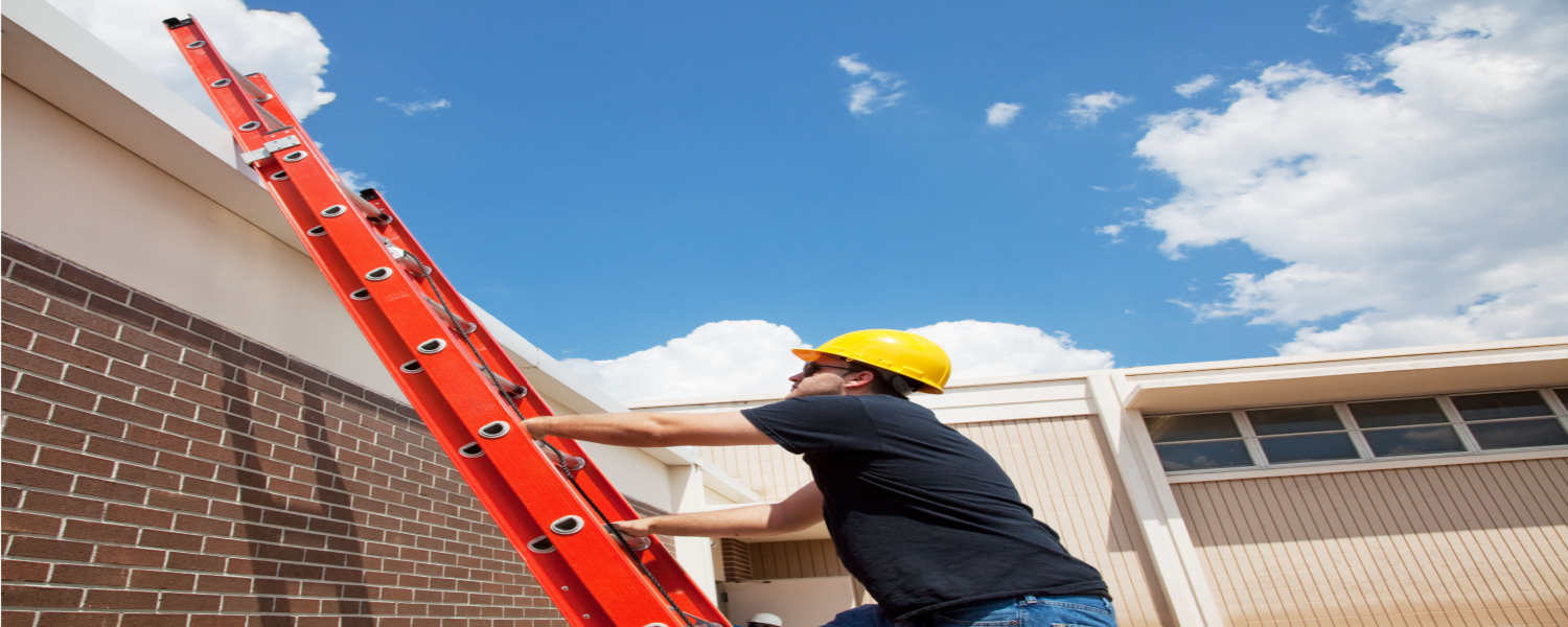 Roof Access Ladders Naperville